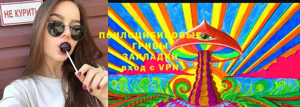 крисы Арсеньев