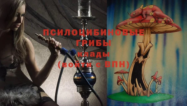 Альфа ПВП Армянск