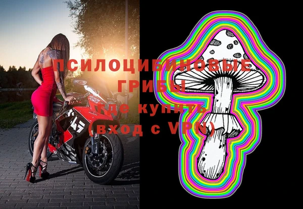 Альфа ПВП Армянск