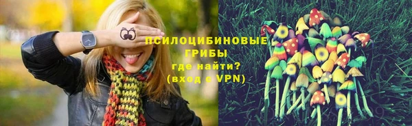 Альфа ПВП Армянск